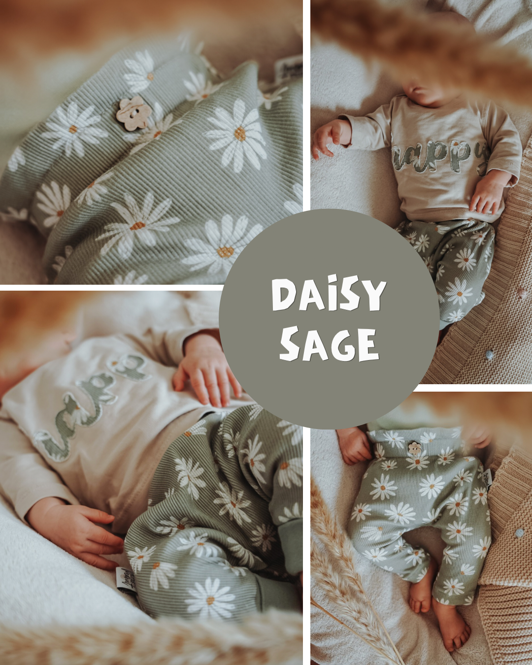 Daisy sage *VORBESTELLUNG WHOLESALE*