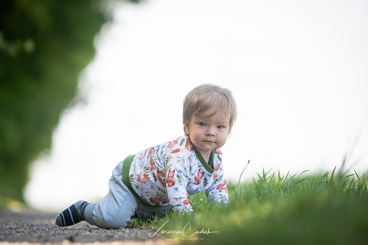 Anleitung Sweater LIZ | Größe 50 -110