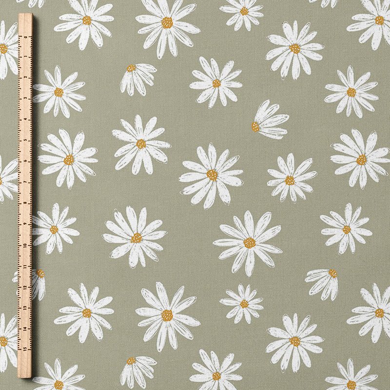 0.5m Musselin Daisy sage
