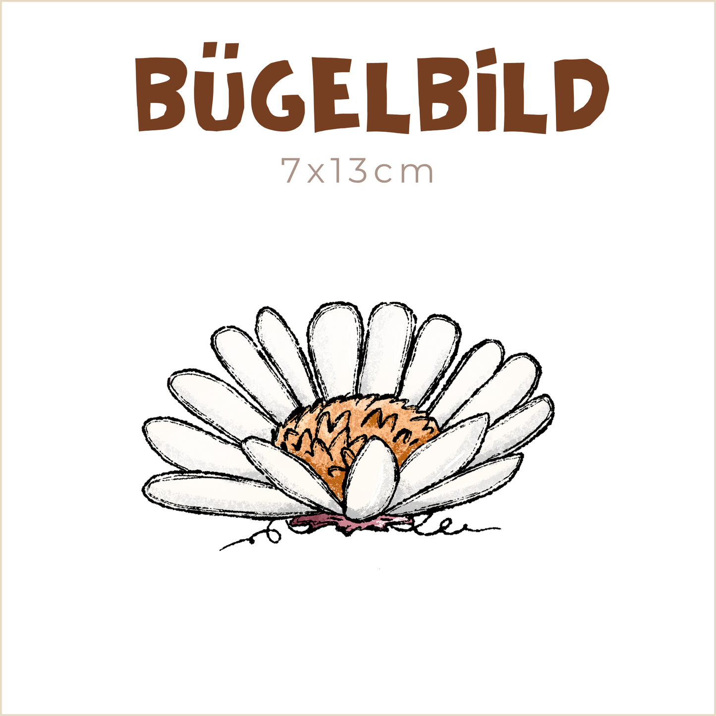 Bügelbild Kürbis-Wiese: Blume weiß | 7x13cm