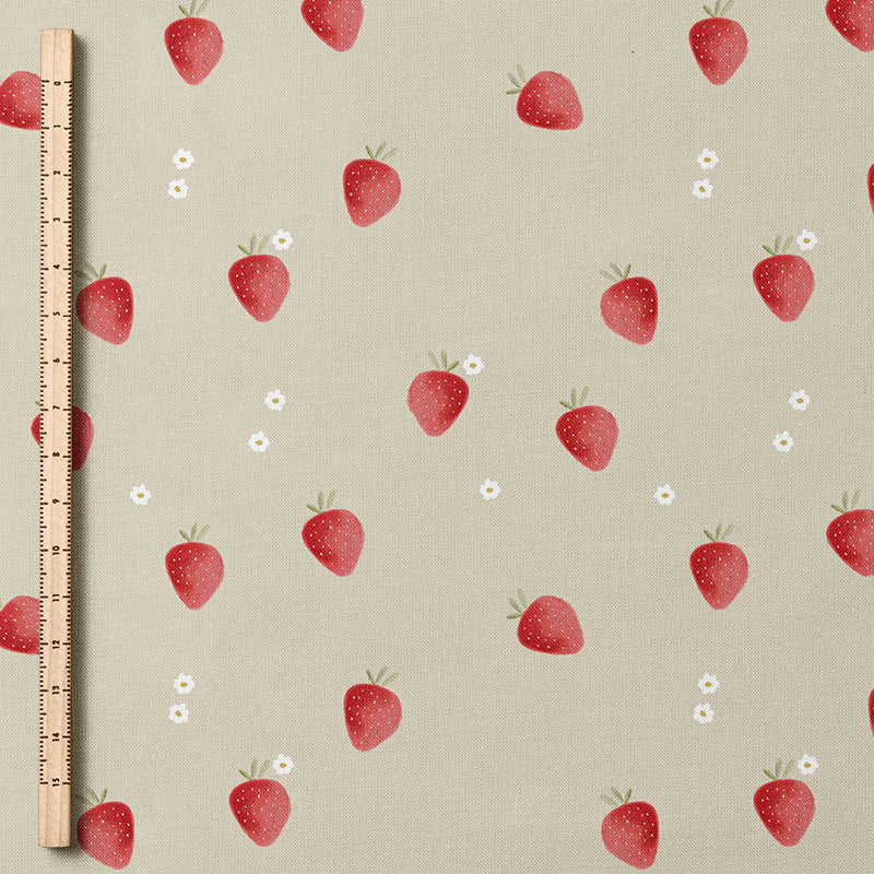 0.5m BIO French Terry Strawberry tofu