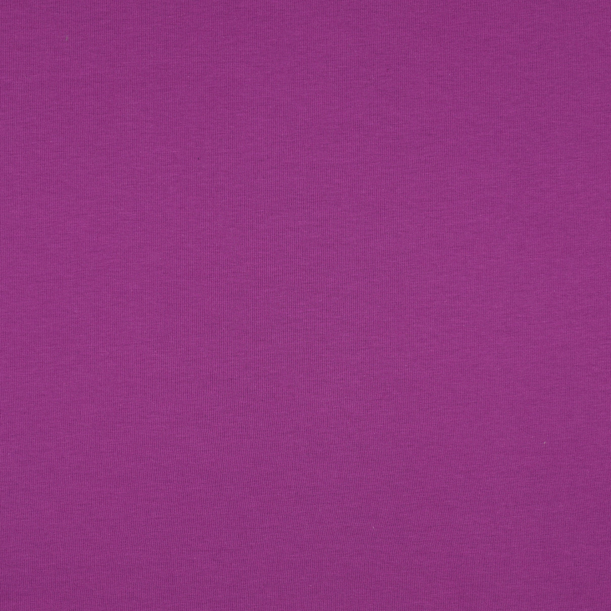 0.5m Jersey amethyst