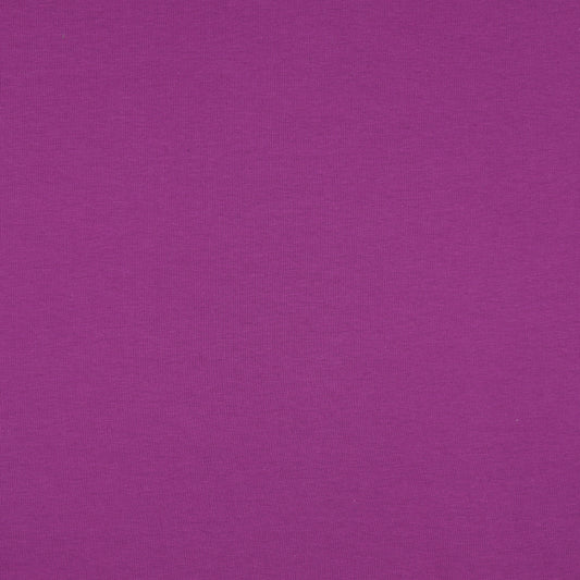 0.5m Jersey amethyst