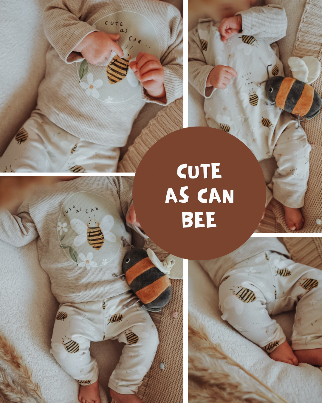 Bügelbild Cute as can Bee | 13x13cm