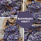 0.5m Biojersey Blümchenzeit violett