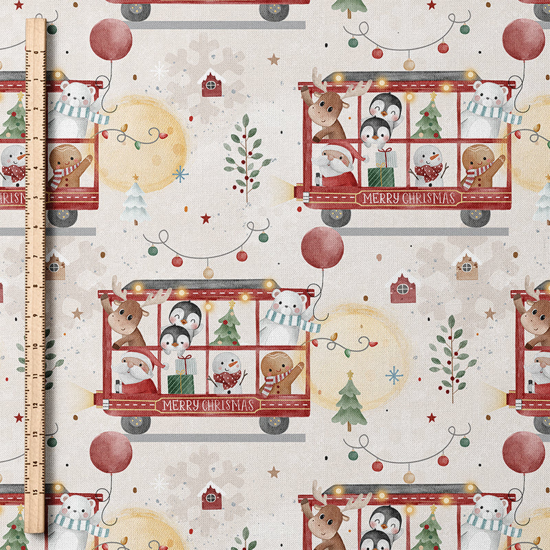 0.5m BIO Ribjersey Christmas Tour