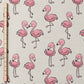 0.5m BIO French Terry Flamingooo
