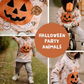 0.5m Jersey Halloween Party Animals