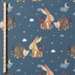 0.5m BIO French Terry Hase und Igel ozean *VORBESTELLUNG*