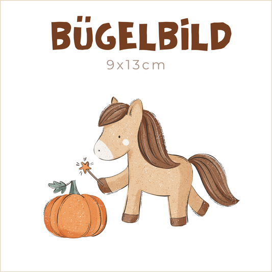 Bügelbild Horse and Pumpkin | 9x13cm