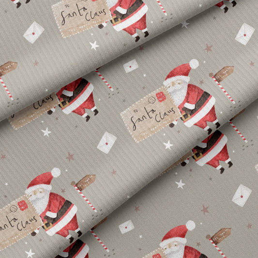 0.5m BIO Ribjersey Letters to Santa