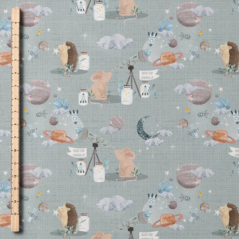 0.5m BIO French Terry Look Up *VORBESTELLUNG*