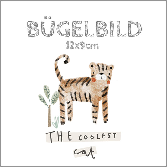 Bügelbild The coolest cat | 12x9cm