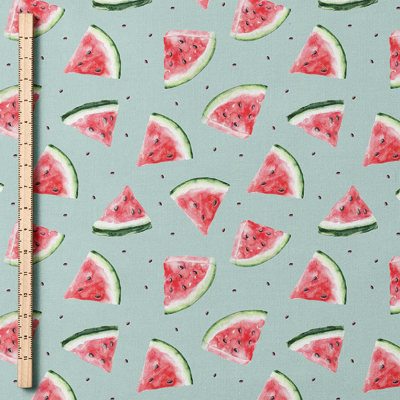 0.5m BIO French Terry What A Melon