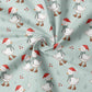 0.5m BIO French Terry Winter Duck mint *VORBESTELLUNG - Lieferzeit 4-6 Wochen*