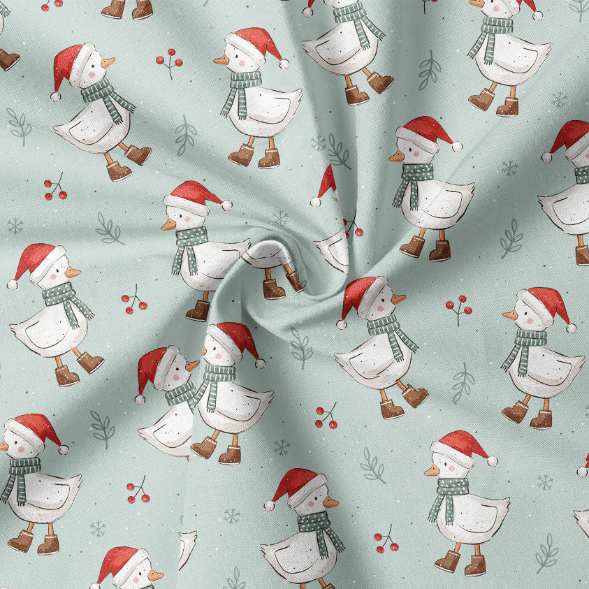 0.5m BIO French Terry Winter Duck mint *VORBESTELLUNG - Lieferzeit 4-6 Wochen*