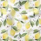 0.5m BIO French Terry Zitrone salt *VORBESTELLUNG*