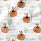 0.5m BIO French Terry Hello Pumpkin *VORBESTELLUNG*