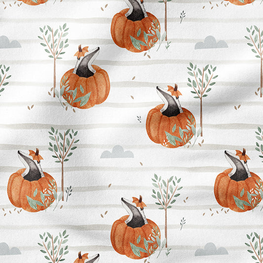 0.5m BIO French Terry Hello Pumpkin